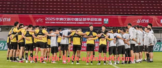 AG捕鱼王官网-世俱杯比赛暂停规则及应用场景详解