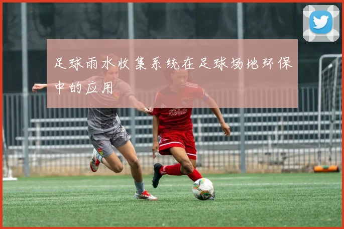 足球雨水收集系统在足球场地环保中的应用