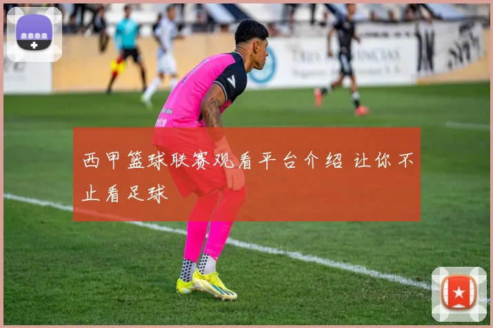 西甲篮球联赛观看平台介绍 让你不止看足球