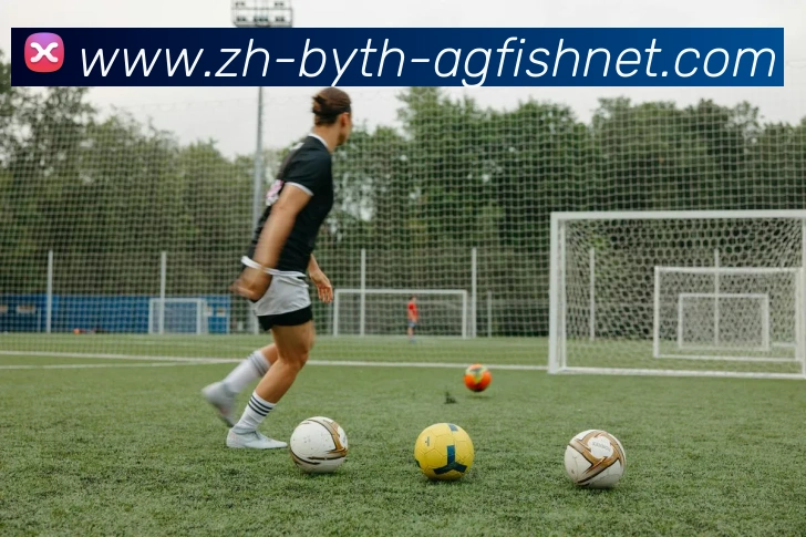 AG捕鱼王官网服务体系