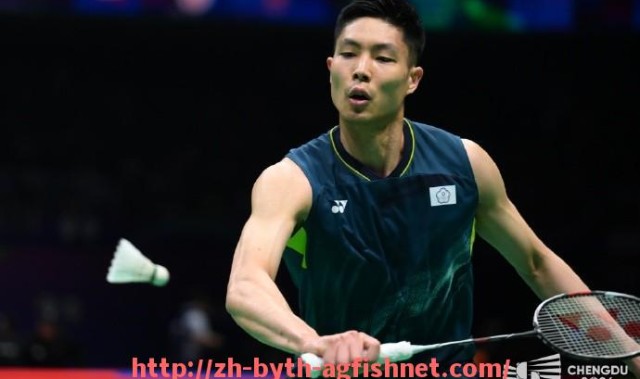 AG捕鱼王官网-意甲联赛中的赞助商与NBA球队的合作分析