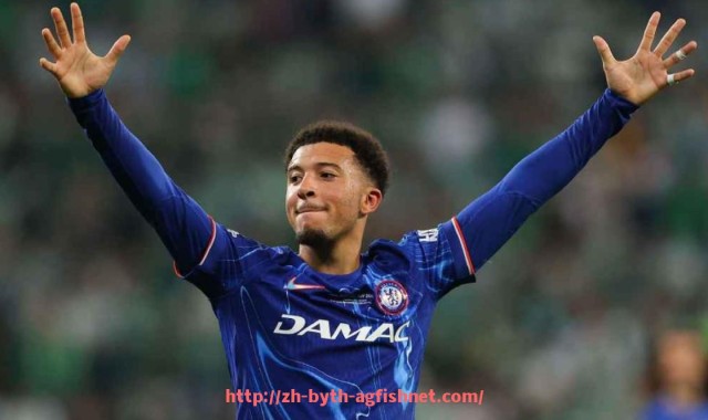 AG捕鱼王官网-德甲身价最高的球队排名及球员身价解析