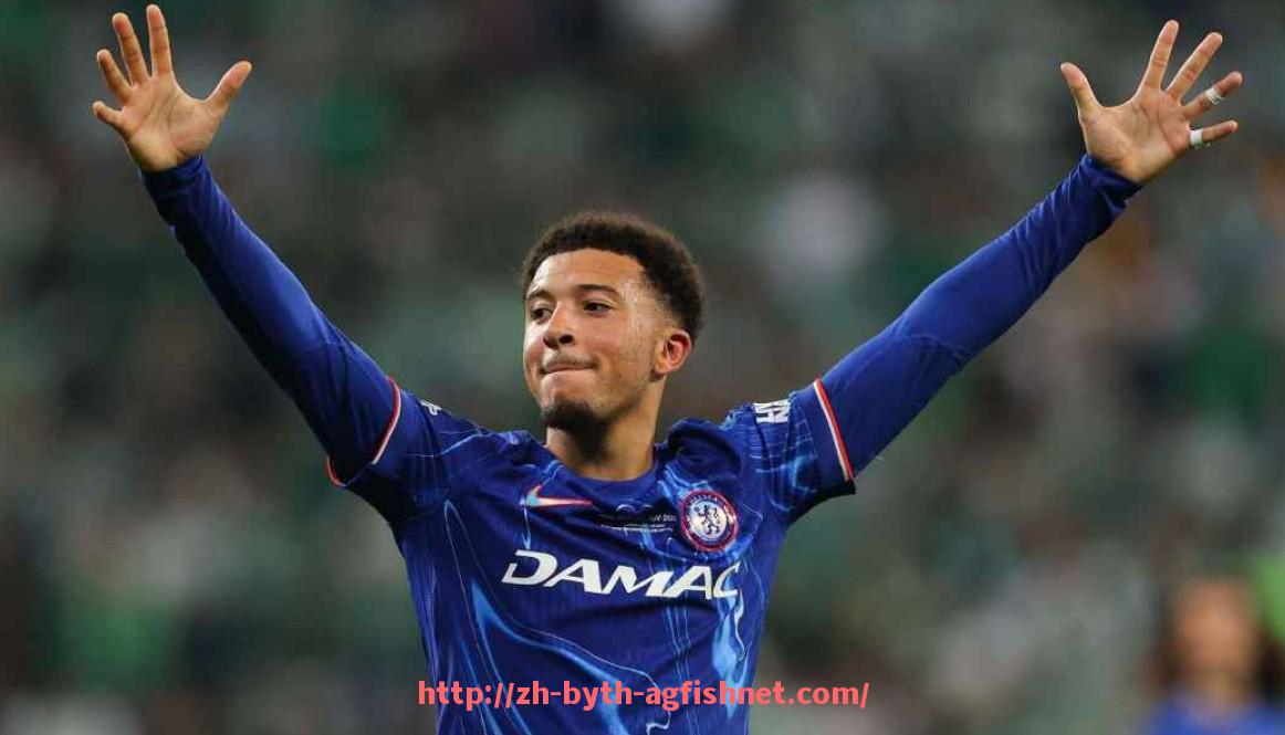 AG捕鱼王官网-世俱杯比赛录像回放清单：全场次高清回放一键获取